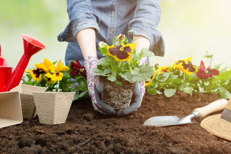 Ground Cover Planting in Ventura County, CA